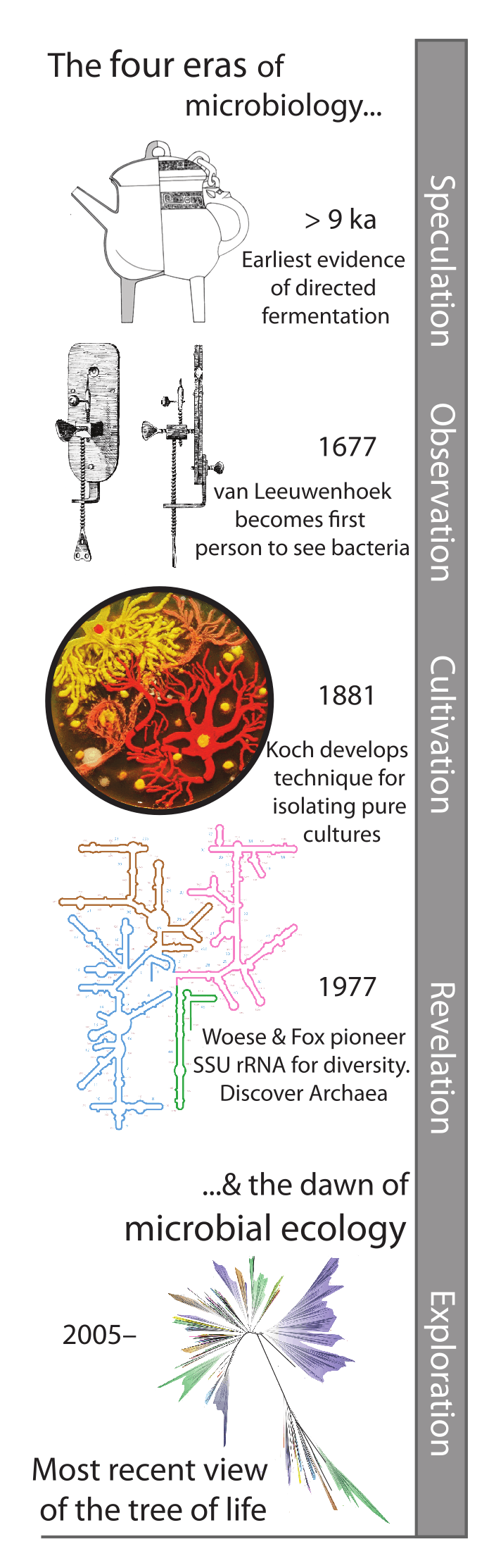 The four eras of microbiology