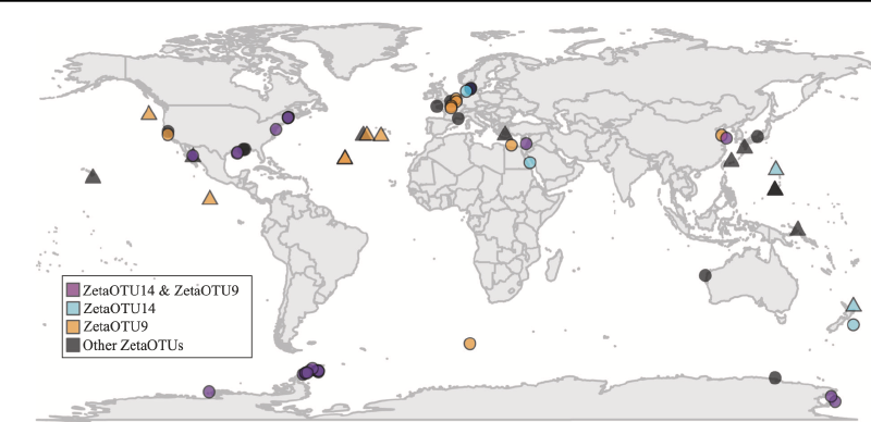 Biological rejuvenation of iron oxides in bioturbated marine sediments.