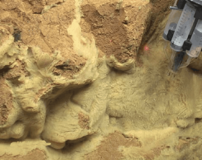 Bringing microbial diversity into focus: high-resolution analysis of iron mats from the Lō'ihi Seamount.