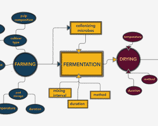 A graphic I created to describe the factors that influence fermentation dynamics in cacao production. Fermentation is the key step in the formation of aroma precursors in chocolate. From a presentation I gave on [Cacao fermentation](https://istmobiome.github.io/cacao/talk.html).